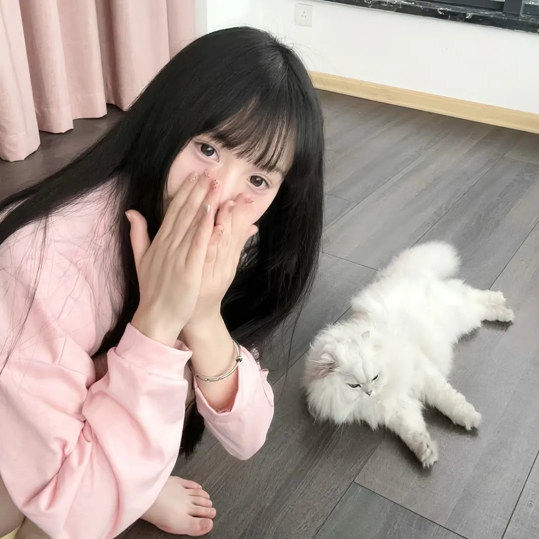 哈比王传奇
